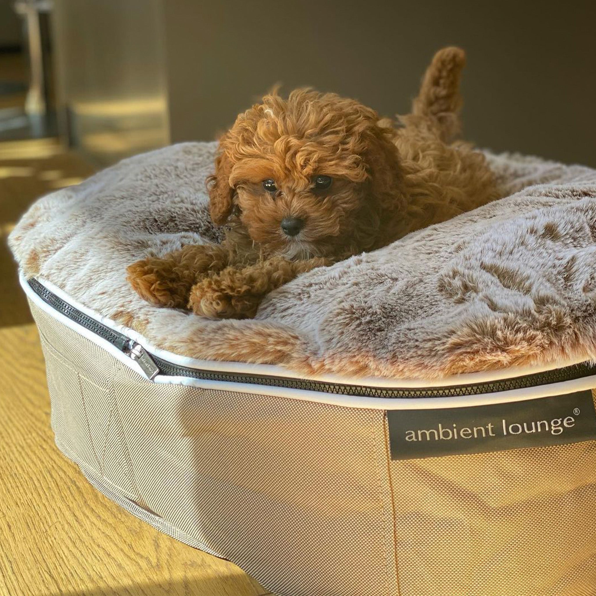 Small Luxury Dog Bed - Interior/Outdoor