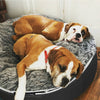 (L) Luxury Indoor/Outdoor Dog Bed (original)