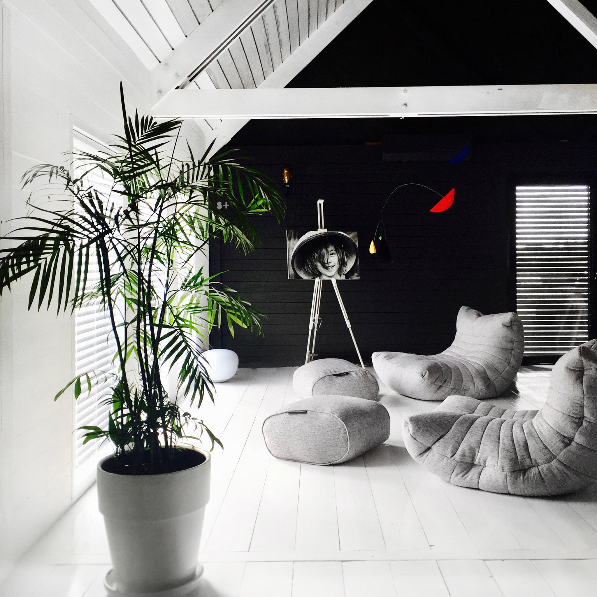 Acoustic Sofa - Interior