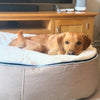 Large Luxury Dog Bed - Interior/Outdoor