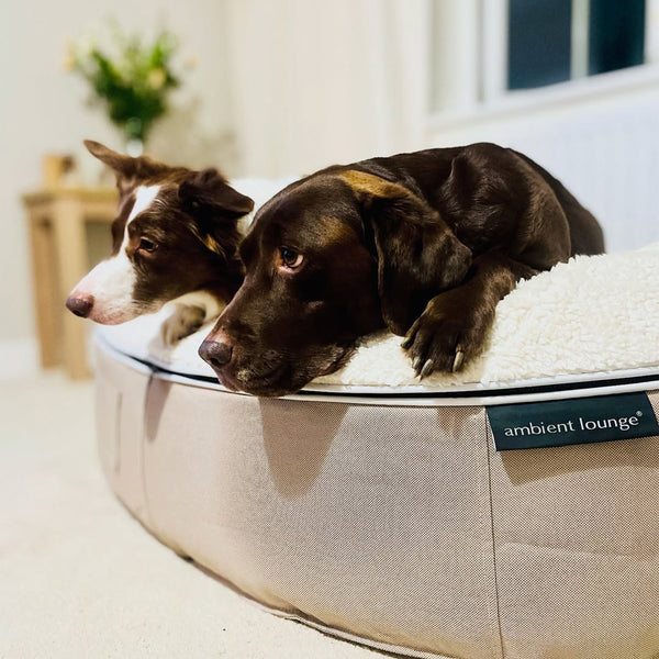Large Luxury Dog Bed - Interior/Outdoor