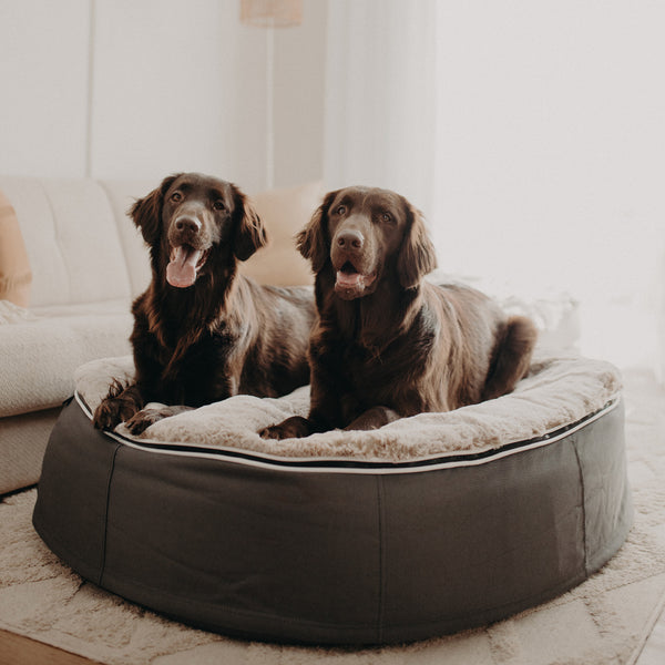 Large Luxury Dog Bed - Interior/Outdoor