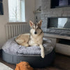 Large Luxury Dog Bed - Interior/Outdoor