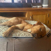 Large Luxury Dog Bed - Interior/Outdoor