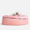 (M) Premium Indoor/Outdoor Dog Bed (Ballerina Pink)