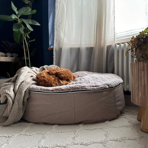Medium Luxury Dog Bed - Interior/Outdoor