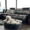 Medium Luxury Dog Bed - Interior/Outdoor
