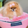 Small Luxury Dog Bed - Interior/Outdoor