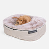 Small Luxury Dog Bed - Interior/Outdoor