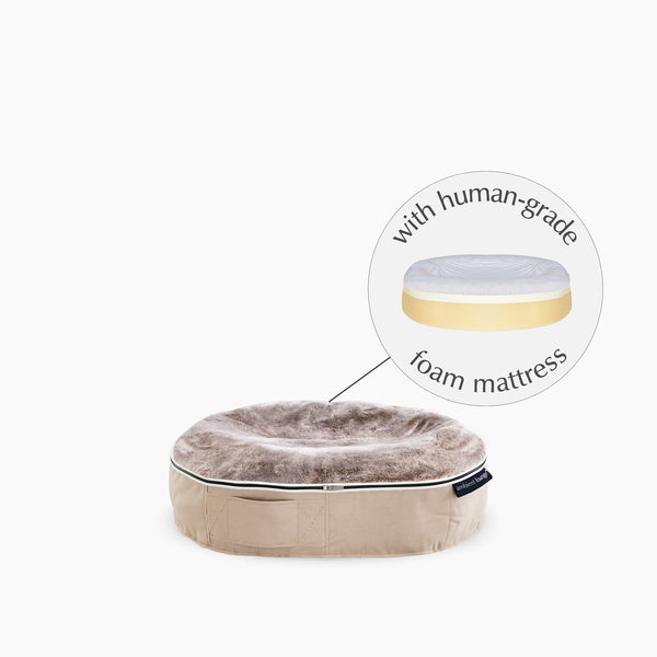 Kleines Hundebett aus formbeständigem Schaumstoff – für drinnen und draußen