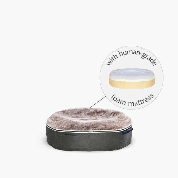 Kleines Hundebett aus formbeständigem Schaumstoff – für drinnen und draußen