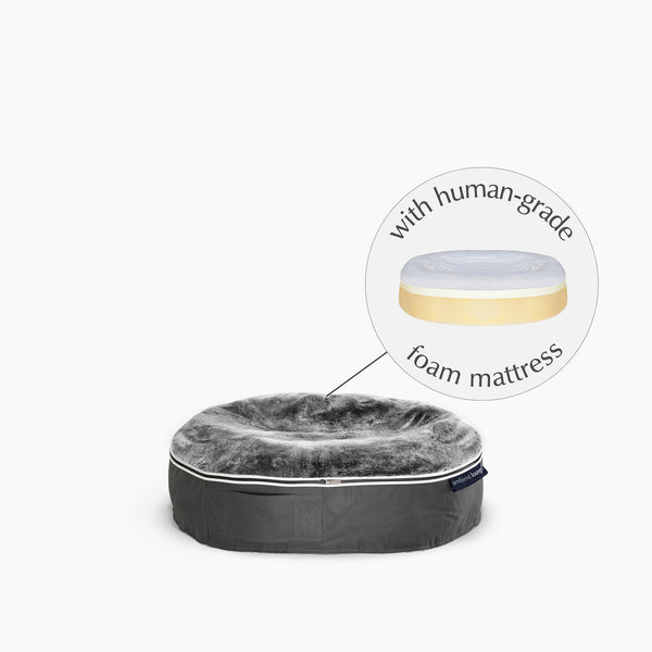 Kleines Hundebett aus formbeständigem Schaumstoff – für drinnen und draußen