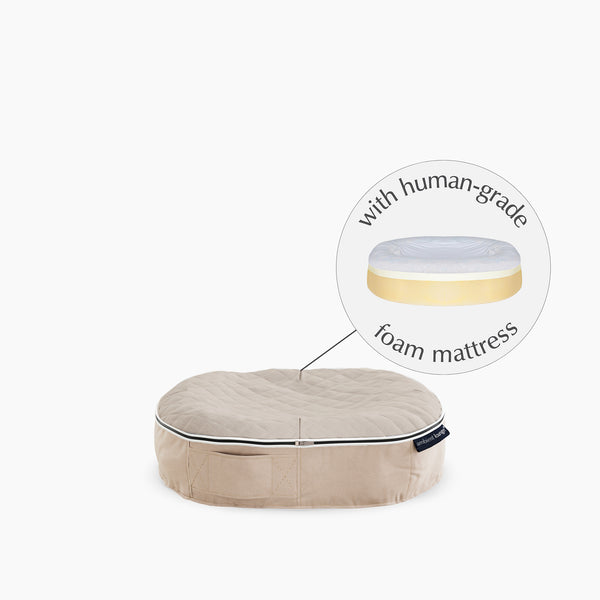 Kleines Hundebett aus formbeständigem Schaumstoff – für drinnen und draußen