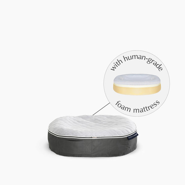 Kleines Hundebett aus formbeständigem Schaumstoff – für drinnen und draußen