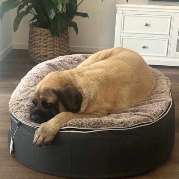 Materasso per cani XXL in schiuma ad alta resilienza - Per interni/esterni